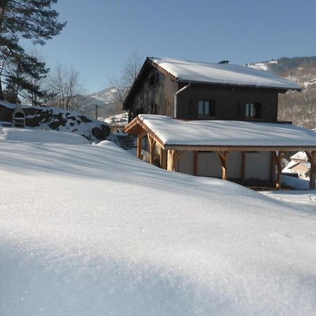 Chalet Le Grand Tetras La Bresse Extérieur photo